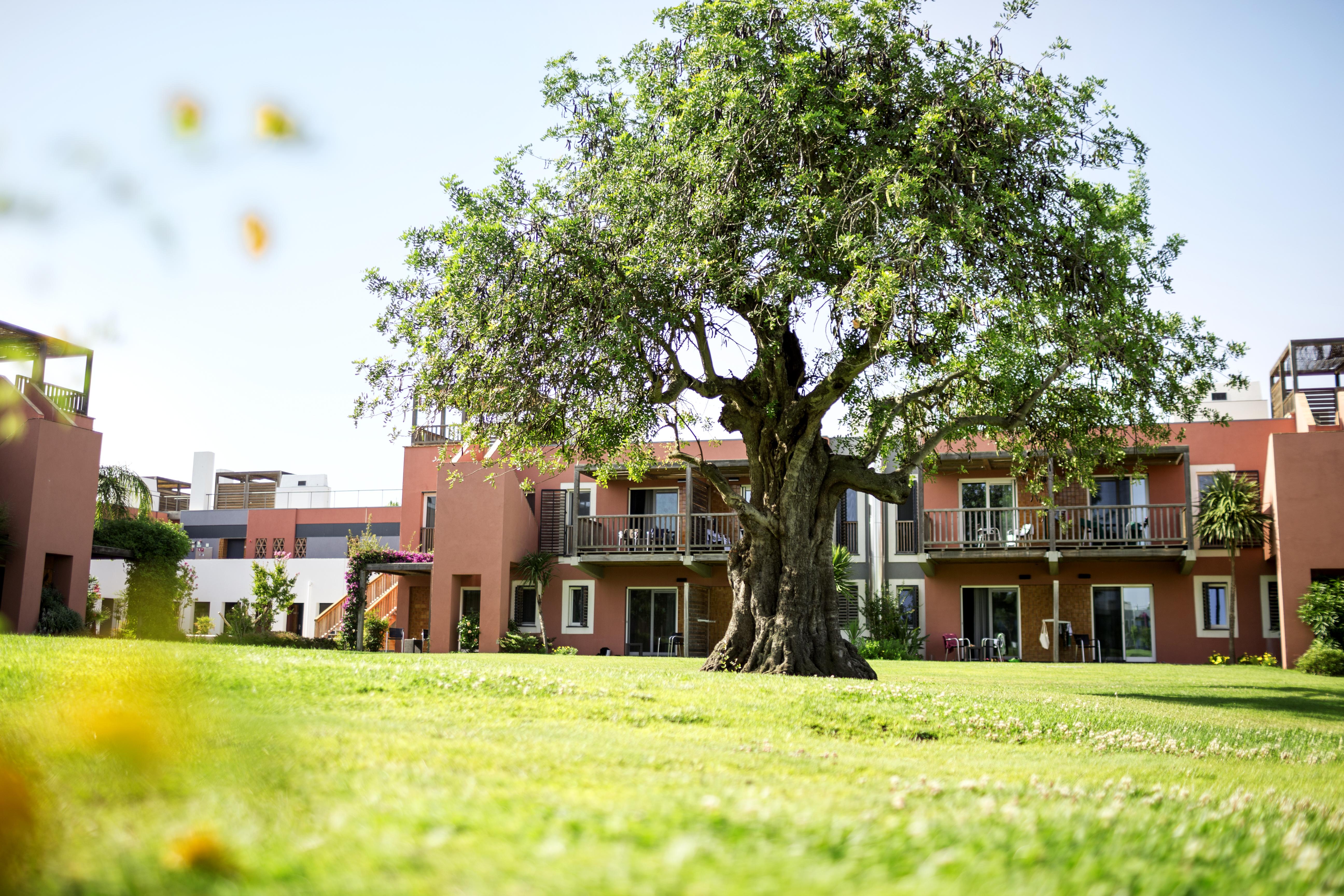 Robinson Quinta Da Ria Hotel Vila Nova de Cacela Exterior photo